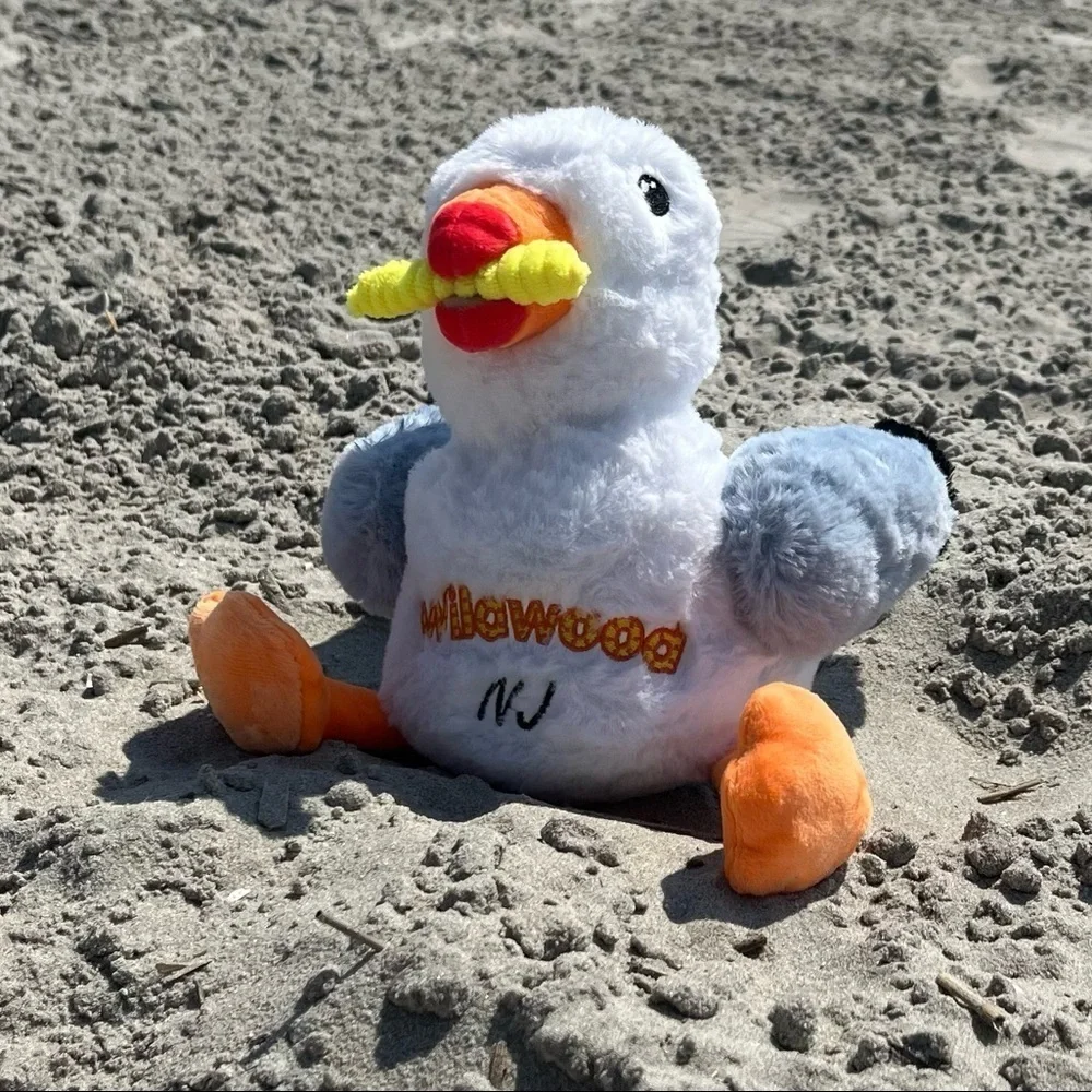 Seagull Plush Toy Wildwood NJ New Fry in his